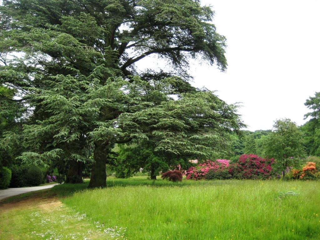 Willington Hall Hotel Tarporley Dış mekan fotoğraf
