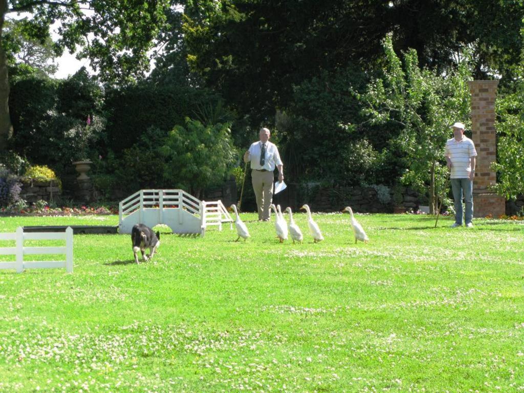 Willington Hall Hotel Tarporley Dış mekan fotoğraf